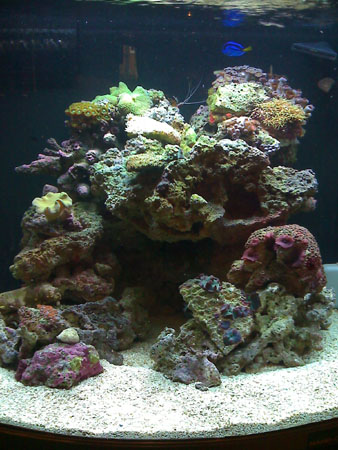Nano Cube